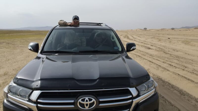 Mongolia: 8-Day Central Mongolia Tour - Daily Itinerary Highlights