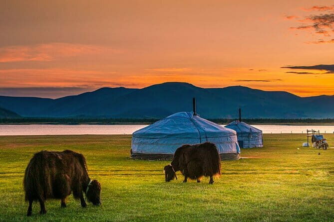 Mongolia - Sedan, Lexus, UAZ Minivan, 4WD Tour& Transport Service - Who Will Love This Service?