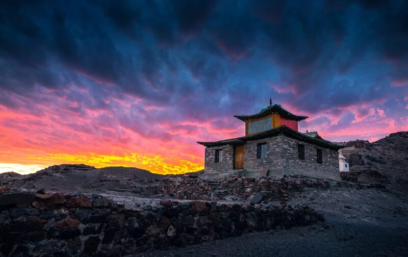 Mongolian Odyssey Throughout the Gobi 10 Days - Accommodation and Meals