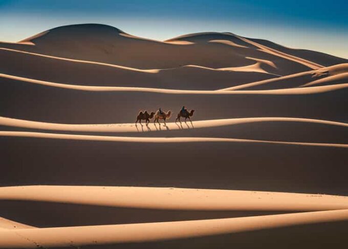 Mongolian Odyssey Throughout the Gobi 10 Days - About the Gobi Desert