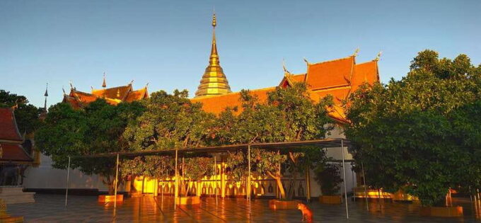 Monk Trails Hike, Wat Phalat, Monk Chanting, Wat Doi Suthep. - Frequently Asked Questions