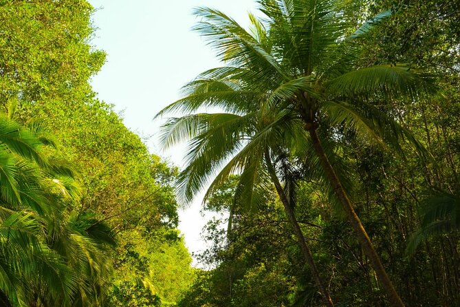 Monkey Boat Tour, Manuel Antonio - Key Points