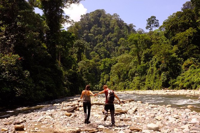 Monkey Business 3 Days - 2 Nights Jungle Trekking (Including Rafting) - Accommodation and Facilities