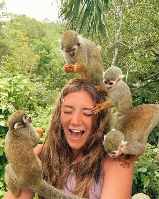 Monkey Encounter + ATV Riding Adventure  Puerto Plata - An Engaging Mix of Wildlife and Adventure