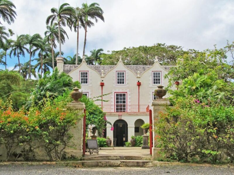 Monkey Feeding & Historic Sugar Plantation & Rum Distillery - St. Nicholas Abbey