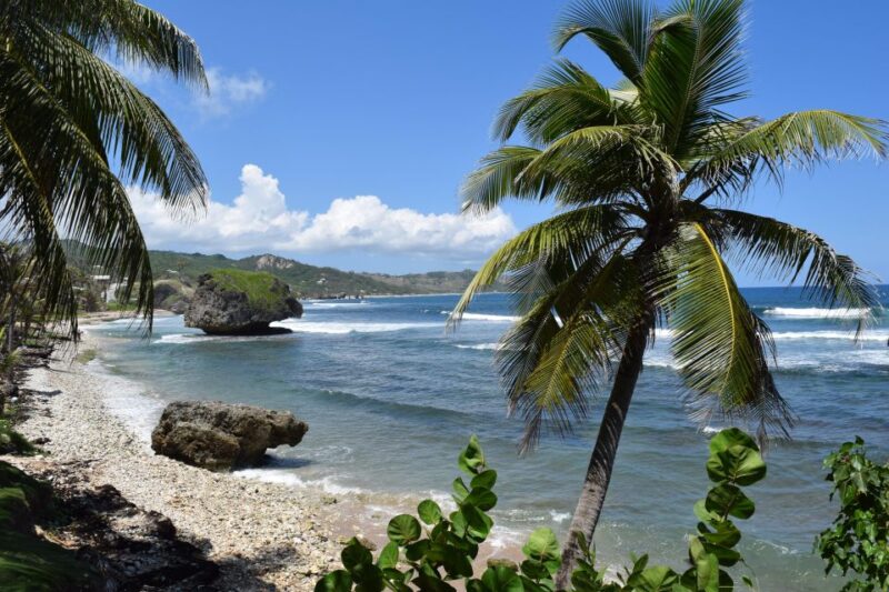 Monkey Feeding & Historic Sugar Plantation & Rum Distillery - Customer Feedback