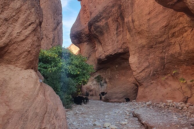 Monkey Fingers Canyon Hike - Accessibility and Transportation