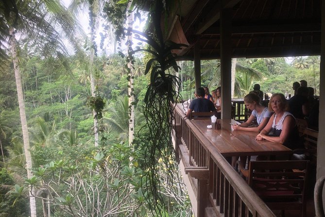 Monkey Forest, Ubud, and Rice Terraces - Transportation and Logistics