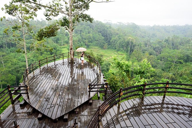 Monkey Forest, Ubud, and Rice Terraces - Exploring Monkey Forest