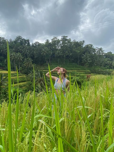 Monkey Forest, Waterfall ,Temple and Rice Terrace - Highlights