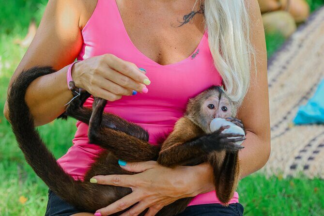 Monkey House VIP Experience with 4 species of monkeys, Punta Cana - Key Points