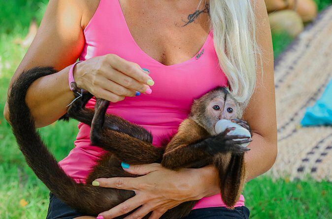 Monkey House VIP Experience with 4 species of monkeys, Punta Cana - FAQ