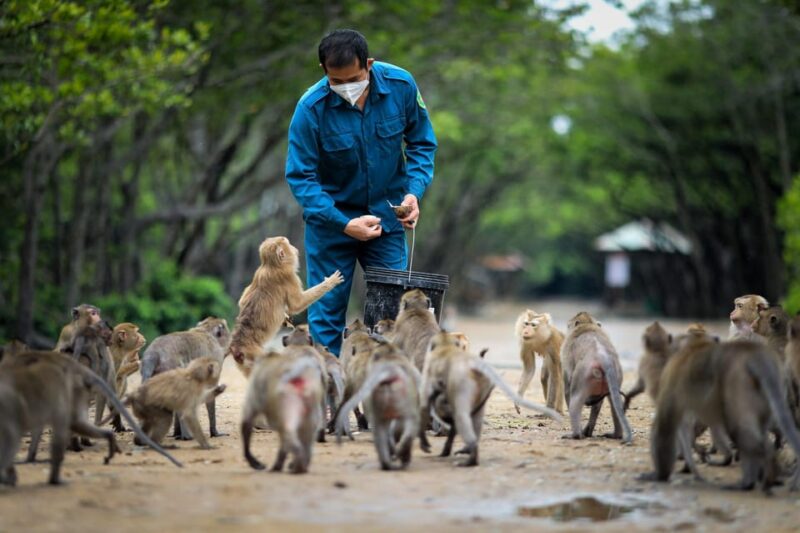 Monkey Island + Can Gio Mangrove Forest - Shared Tour - Morning Itinerary