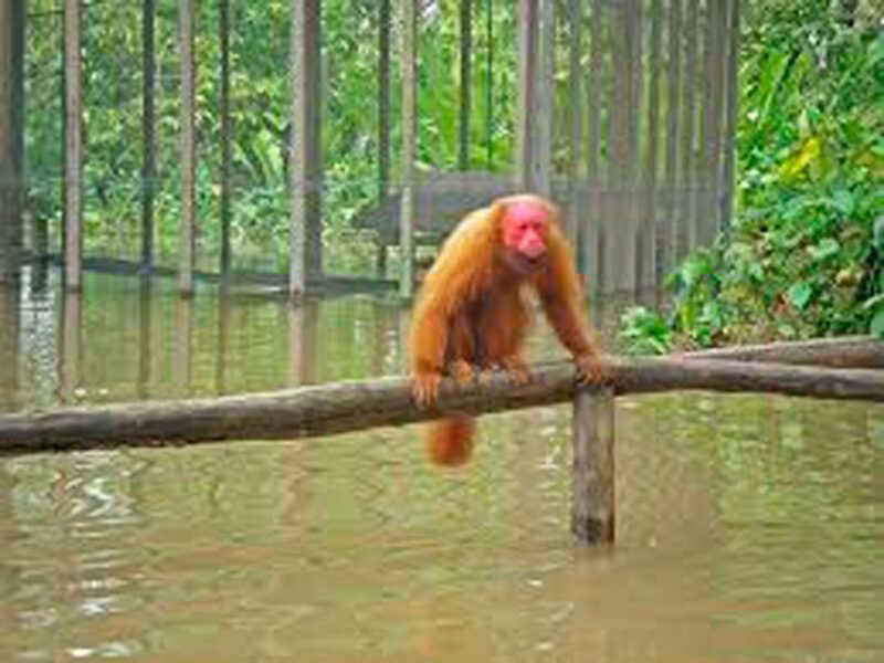 Monkey Island Private Tour - Booking Information
