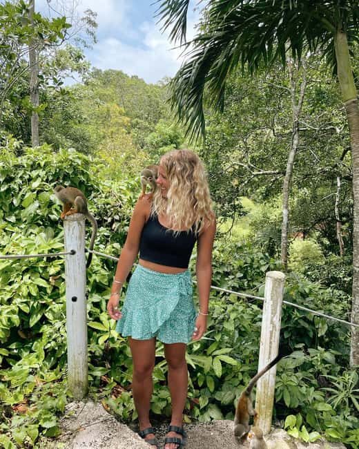 Monkey jungle tour + Transportation from cruise/hotel - What to Expect from the Monkey Jungle Tour