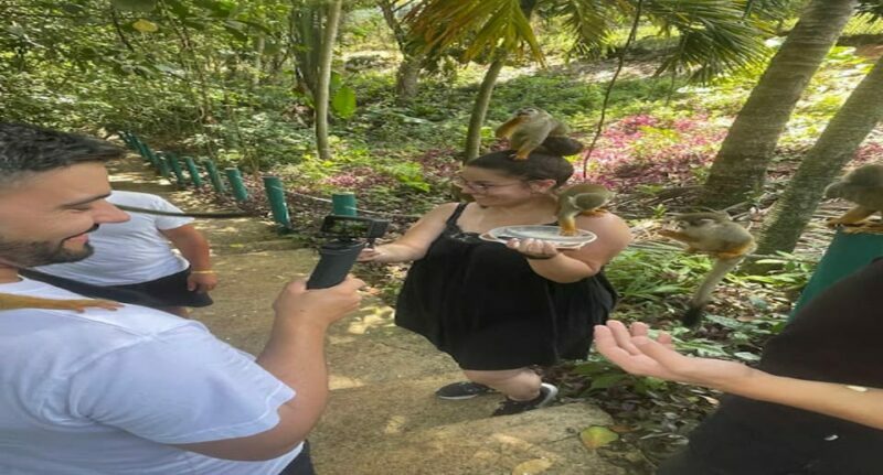 Monkey jungle tour + Transportation from cruise/hotel - Comparing to Similar Experiences