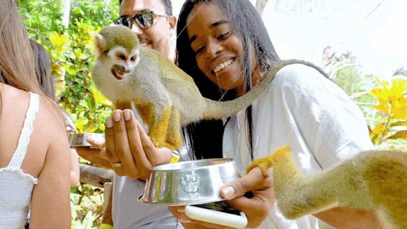 Monkey jungle tour + Transportation from cruise/hotel - Who Will Love This Tour?