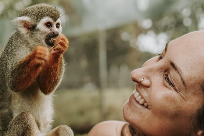 Monkey Jungle With Zip Line - Pricing and Booking Details