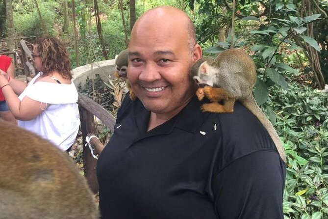 Monkey Jungle With Zip Line - Insider Tips and Highlights