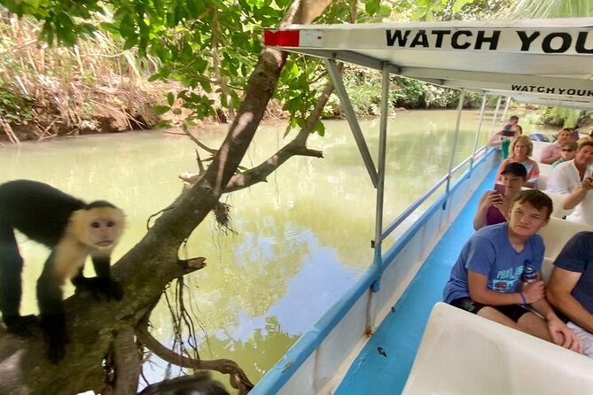 Monkey Mangrove Tour - Key Points