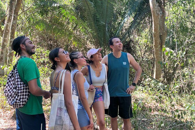 Monkey Mountain Hiking tour - The Itinerary: What You Can Expect