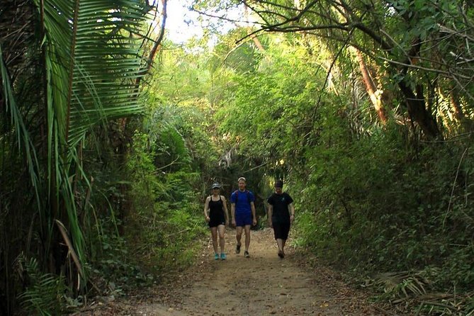 Monkey Mountain Jungle Hike Adventure - Exploring Monkey Mountain
