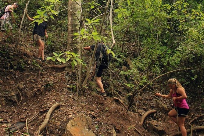 Monkey Mountain Jungle Hike Adventure - Guided Hiking Experience