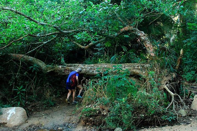 Monkey Mountain Jungle Hike Adventure - Preparing for the Adventure