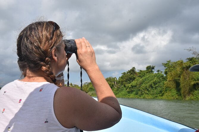 Monkey River Wildlife Encounters and Manatee Watch - Itinerary and Activities