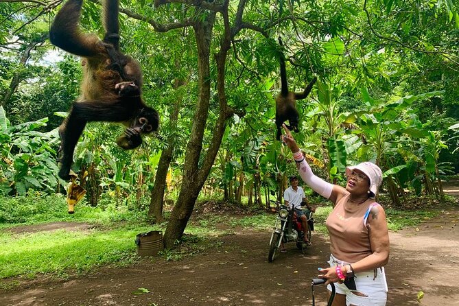 Monkey Sanctuary Reserve + Kayaking at Bahía De Jiquilisco + Lunch Included - Itinerary of Activities