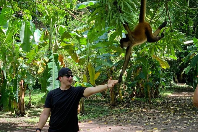 Monkey Sanctuary Reserve + Kayaking at Bahía De Jiquilisco + Lunch Included - Guided Experiences