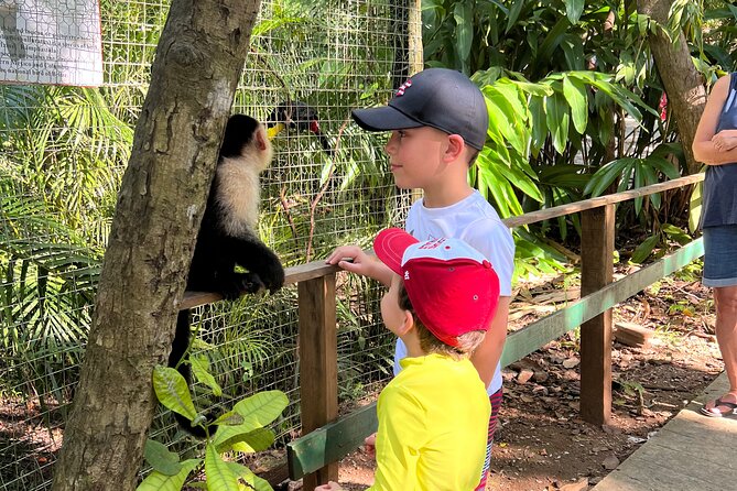 Monkey/Sloth Park + Zipline And City Tour In Roatan - Mayak Chocolate Experience
