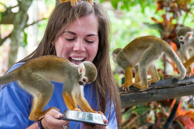 Monkeyland and Plantation Safari from La Romana - A Practical Guide to the Monkeyland and Plantation Safari Tour