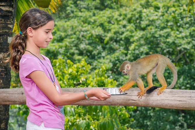 Monkeyland and Plantation Safari From La Romana - Health and Accessibility Guidelines