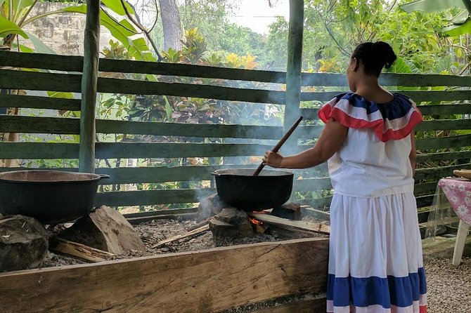 Monkeyland and Plantation Safari Tour From Punta Cana - Health and Safety Guidelines