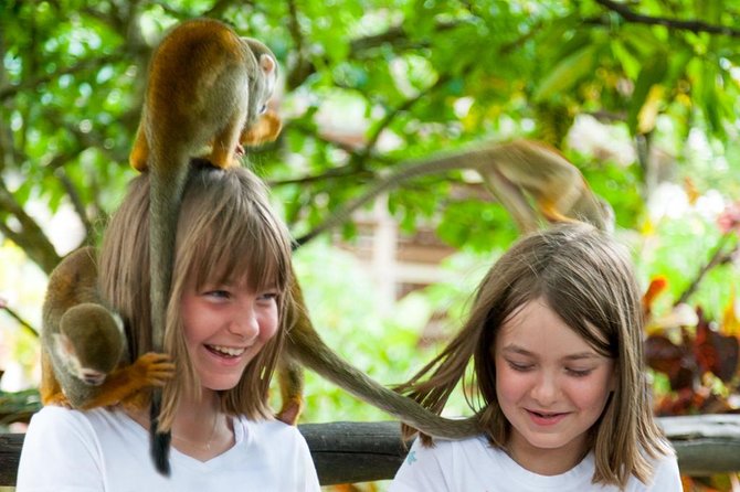 Monkeyland and Plantation Safari Tour From Punta Cana - Reviews and Feedback