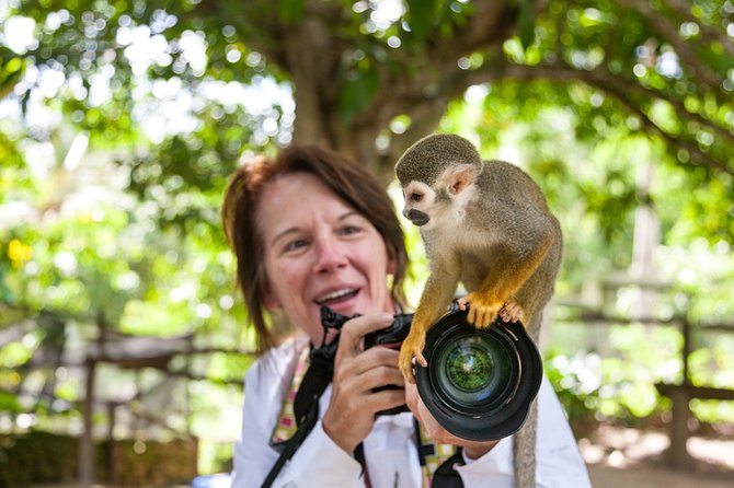 Monkeyland and Plantation Safari Tour From Punta Cana - Sampling Local Beverages and Treats