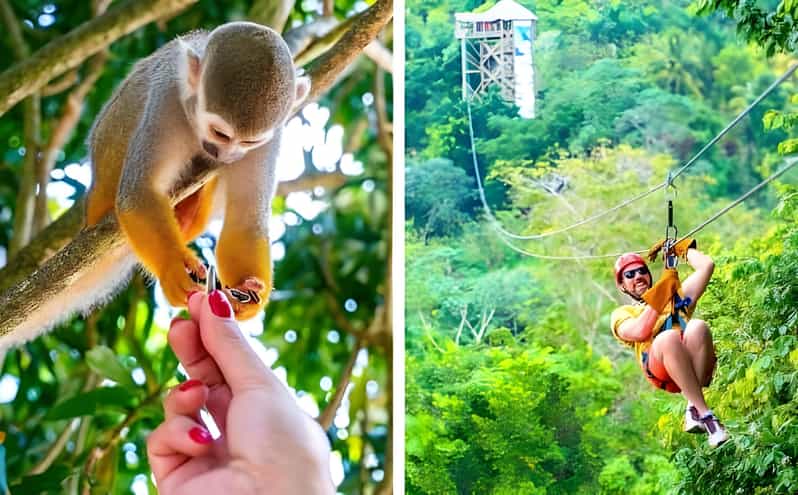 Monkeyland and Zip Lines Whit Local Pick up - Key Points