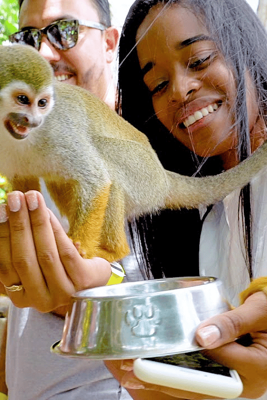 Monkeyland and Zip Lines Whit Local Pick up - Pricing and Reservations