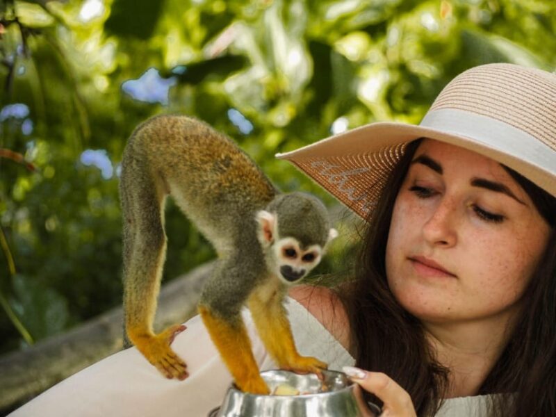 Monkeyland and Zip Lines Whit Local Pick up - Tour Inclusions