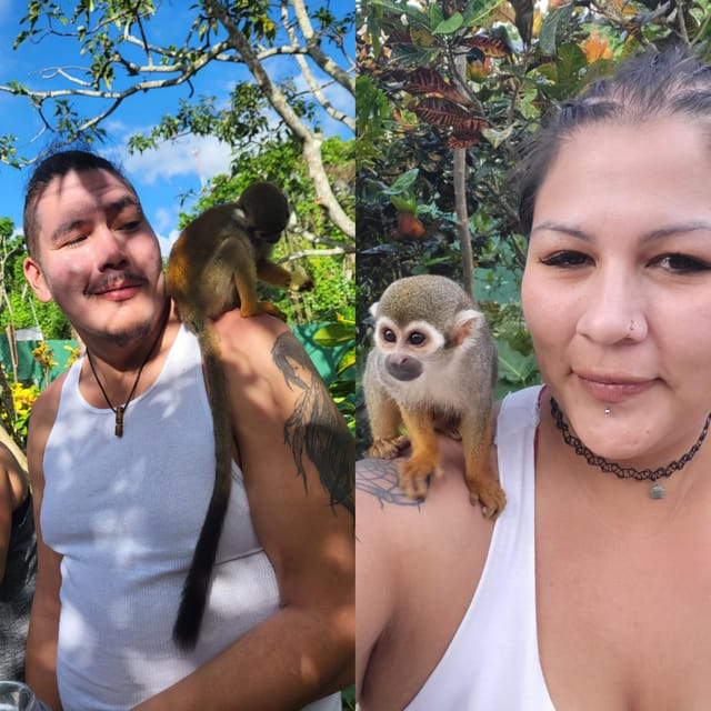 Monkeyland and Zip Lines Whit Local Pick up - Languages Offered