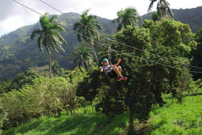 Monkeyland and Zipline Adventure From Puerto Plata - Monkey Interaction and Demonstrations