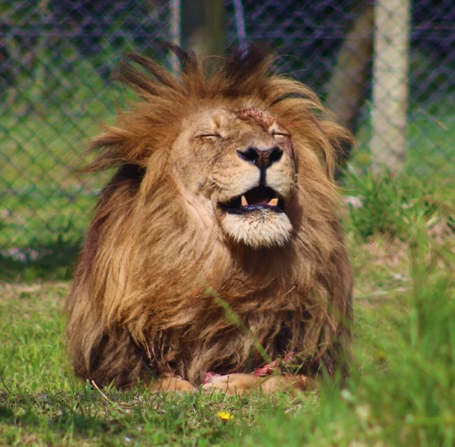 Monkeyland, Birds of Eden, Jukani - Animal Sanctuaries - Pricing and Packages