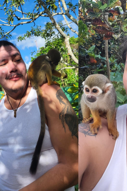 Monkeyland Experience + Lunch and Transportation - Customer Reviews