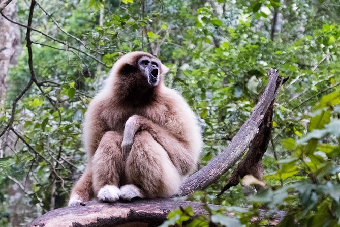 Monkeyland Guided Tour in Plettenberg Bay - Exploring Monkeylands Diverse Ecosystem