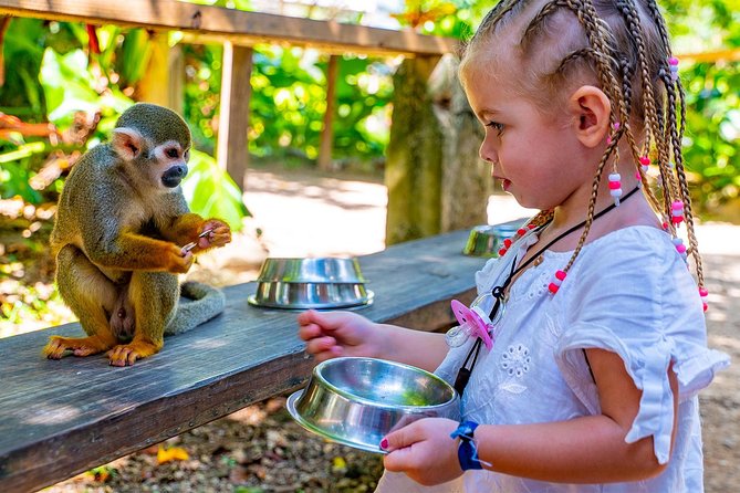 Monkeyland & Plantation Safari Full Day From Juan Dolio - About Your Stay