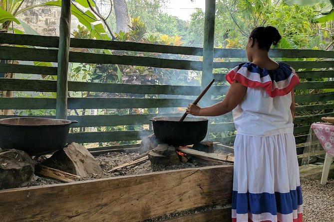 Monkeyland & Plantation Safari Full Day From Juan Dolio - Inclusions and Logistics