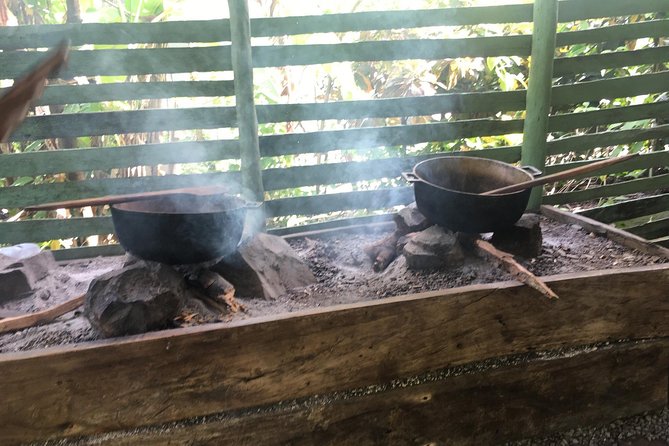 Monkeyland & Plantation Safari Full Day From Juan Dolio - Highlights and Considerations