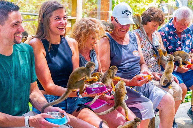 Monkeyland Puerto Plata - Tour Highlights