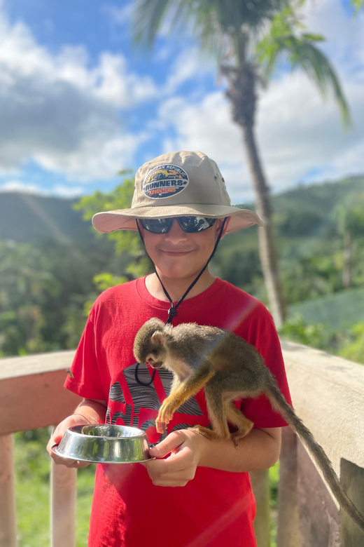 Monkeyland Tour + Transportation From Cruise/Hotel - Inclusions